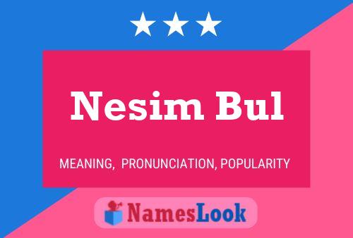 Постер имени Nesim Bul