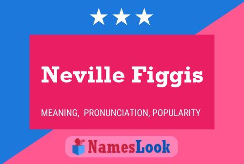 Постер имени Neville Figgis