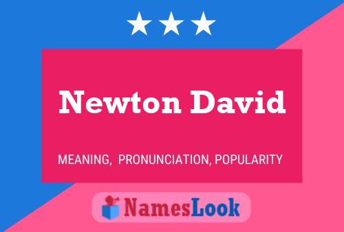 Постер имени Newton David