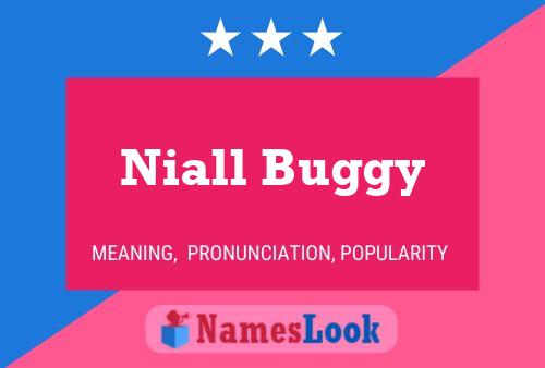 Постер имени Niall Buggy