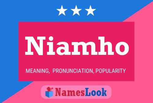 Постер имени Niamho