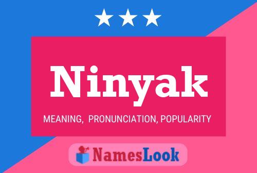 Постер имени Ninyak