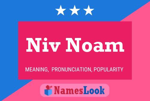 Постер имени Niv Noam