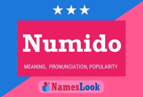 Постер имени Numido