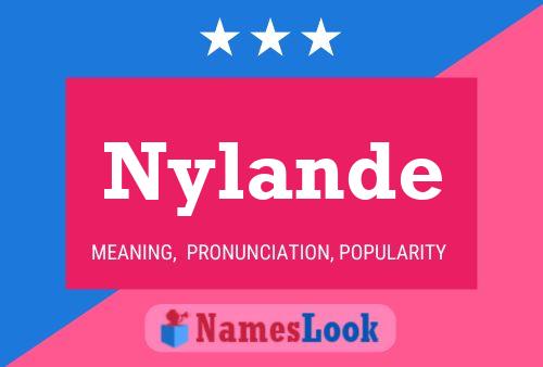 Постер имени Nylande