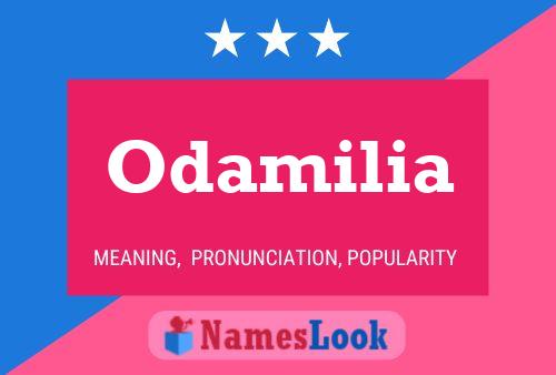 Постер имени Odamilia