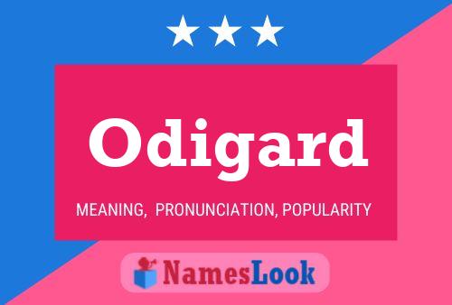 Постер имени Odigard