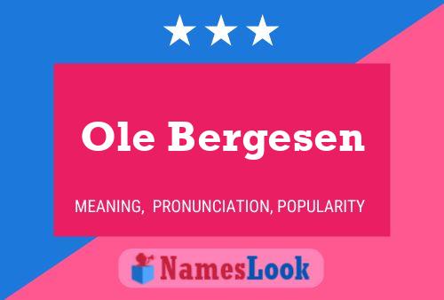 Постер имени Ole Bergesen