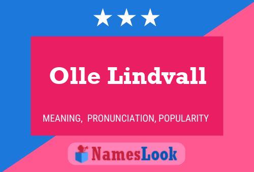 Постер имени Olle Lindvall