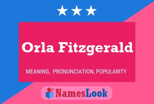 Постер имени Orla Fitzgerald