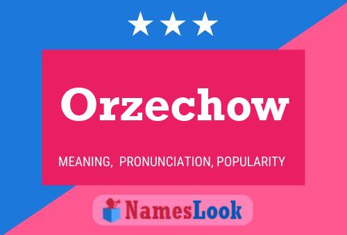 Постер имени Orzechow