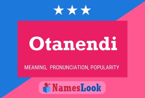 Постер имени Otanendi