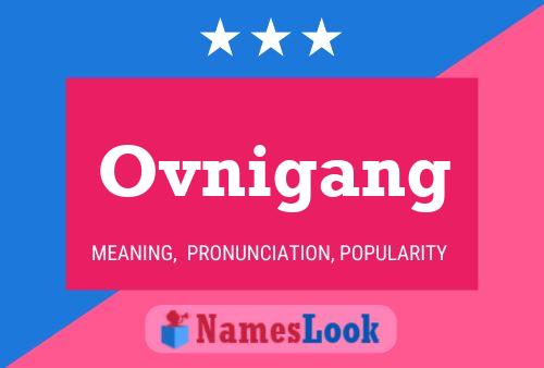 Постер имени Ovnigang