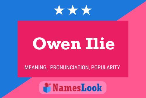 Постер имени Owen Ilie