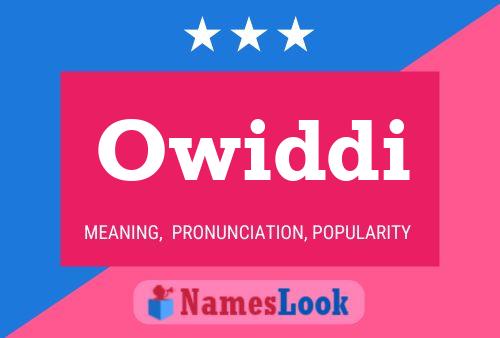 Постер имени Owiddi