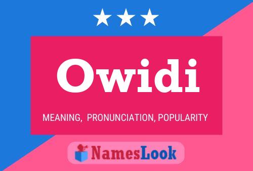 Постер имени Owidi