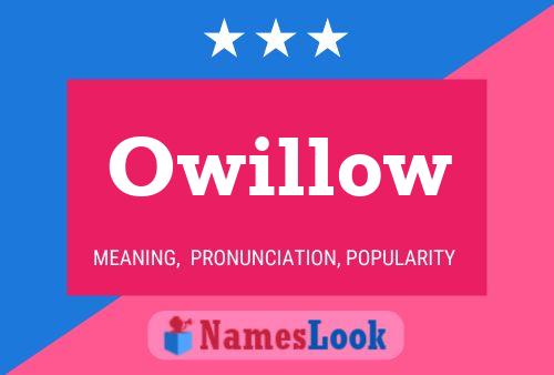 Постер имени Owillow