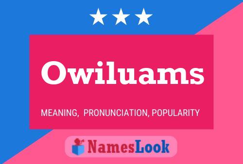 Постер имени Owiluams