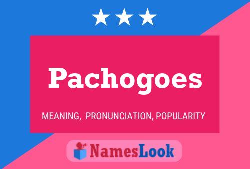 Постер имени Pachogoes