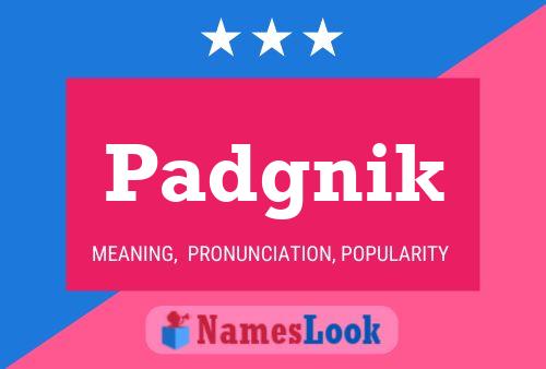 Постер имени Padgnik