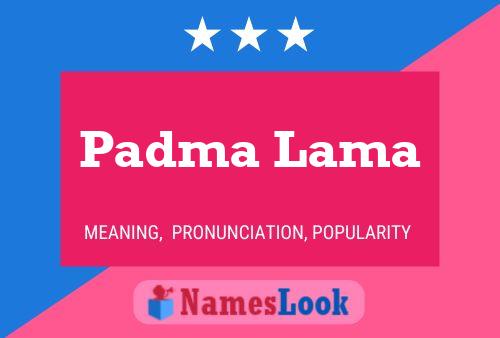 Постер имени Padma Lama