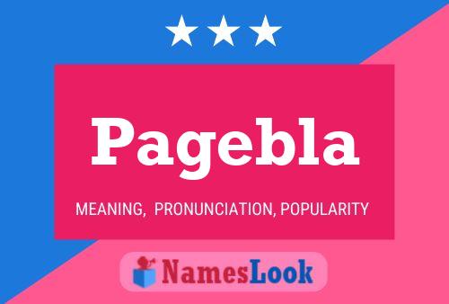 Постер имени Pagebla