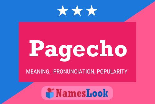 Постер имени Pagecho