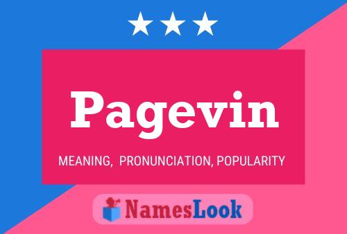 Постер имени Pagevin