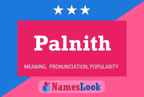 Постер имени Palnith