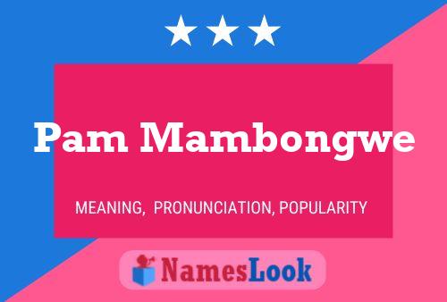 Постер имени Pam Mambongwe