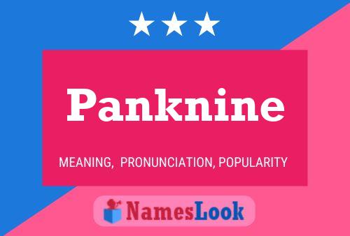 Постер имени Panknine