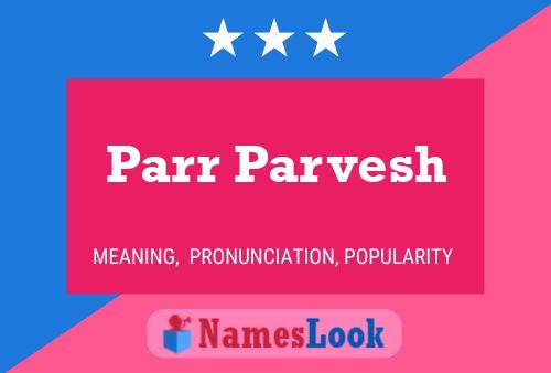 Постер имени Parr Parvesh