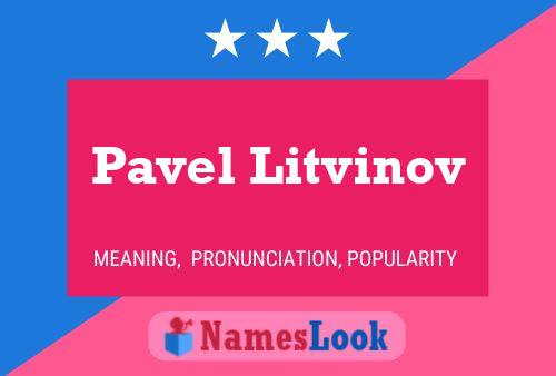 Постер имени Pavel Litvinov