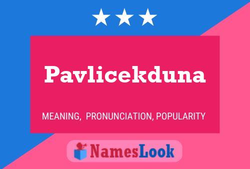 Постер имени Pavlicekduna