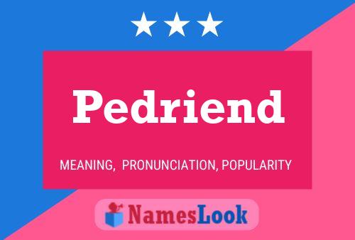 Постер имени Pedriend