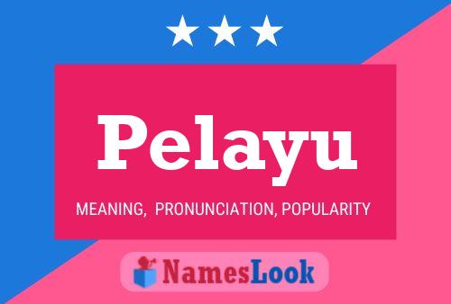 Постер имени Pelayu