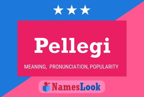 Постер имени Pellegi