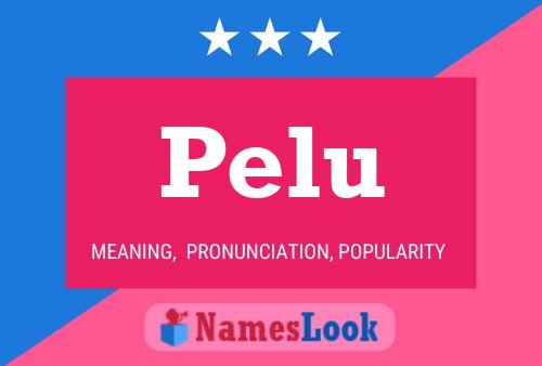 Постер имени Pelu