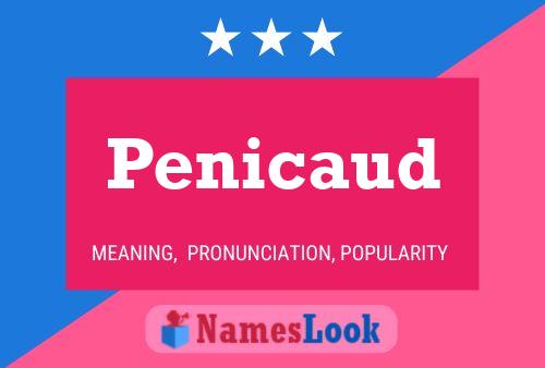 Постер имени Penicaud