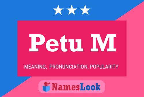 Постер имени Petu M