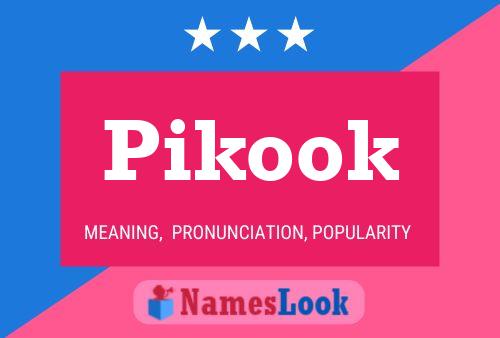 Постер имени Pikook