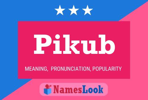 Постер имени Pikub