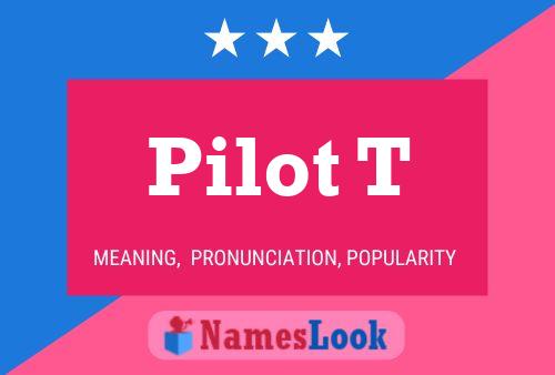 Постер имени Pilot T