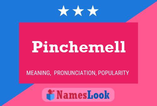 Постер имени Pinchemell