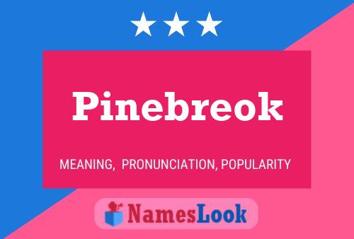 Постер имени Pinebreok