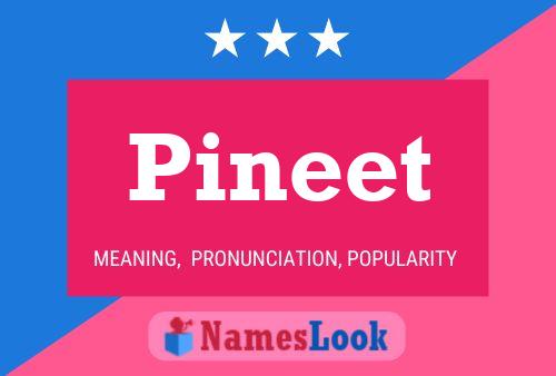 Постер имени Pineet