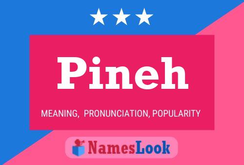 Постер имени Pineh