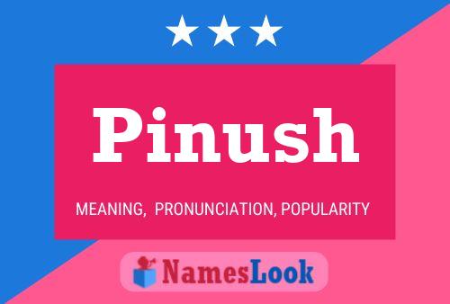 Постер имени Pinush