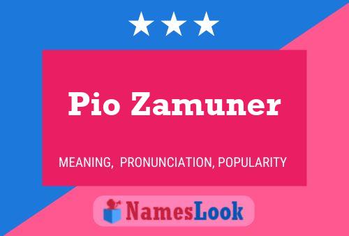 Постер имени Pio Zamuner