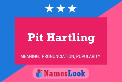 Постер имени Pit Hartling